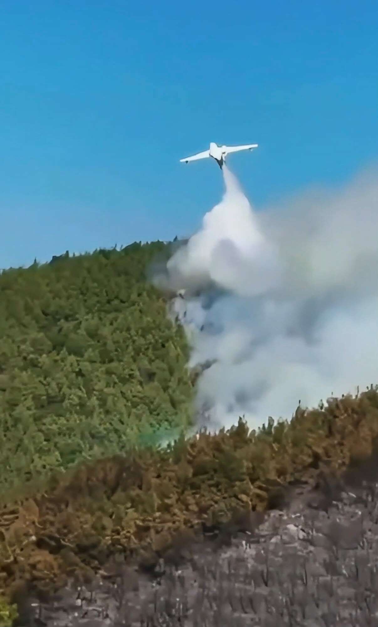 Bakan Yumaklı: Tüm Yangınlar Kontrol Altına Alındı 4